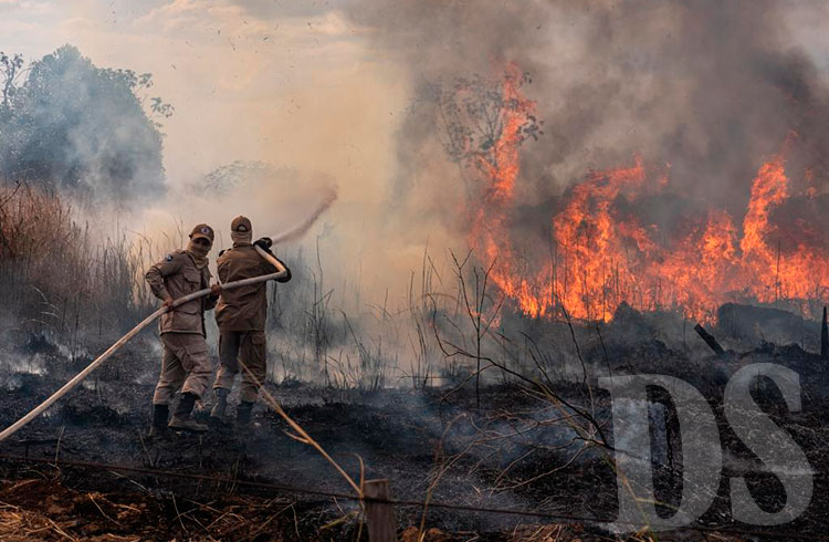 Combate ao Incêndio na região de Sorriso (Foto: Mayke Toscano/Secom-MT)