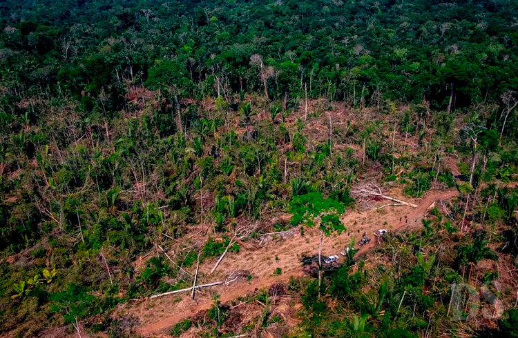 Mato Grosso é o terceiro estado do país com a maior área desmatada (Foto: Marcos Vergueiro/Secom-MT)