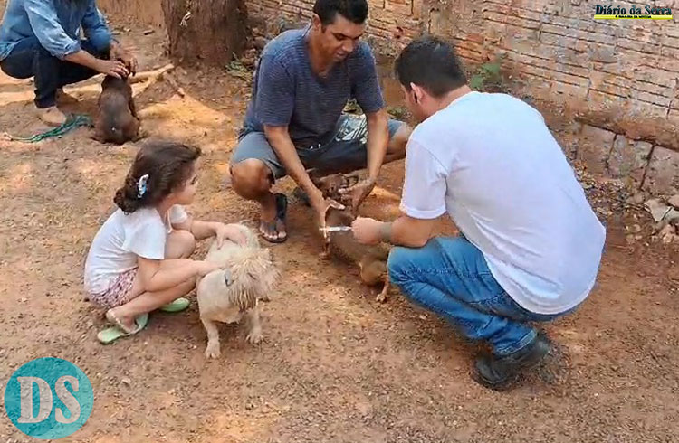 ANIMAIS acima de 3 meses receberão as doses