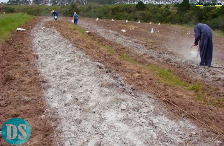 Resíduos de minérios são alternativas aos fertilizantes