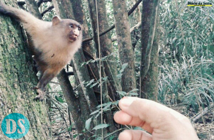 Conscientização ambiental