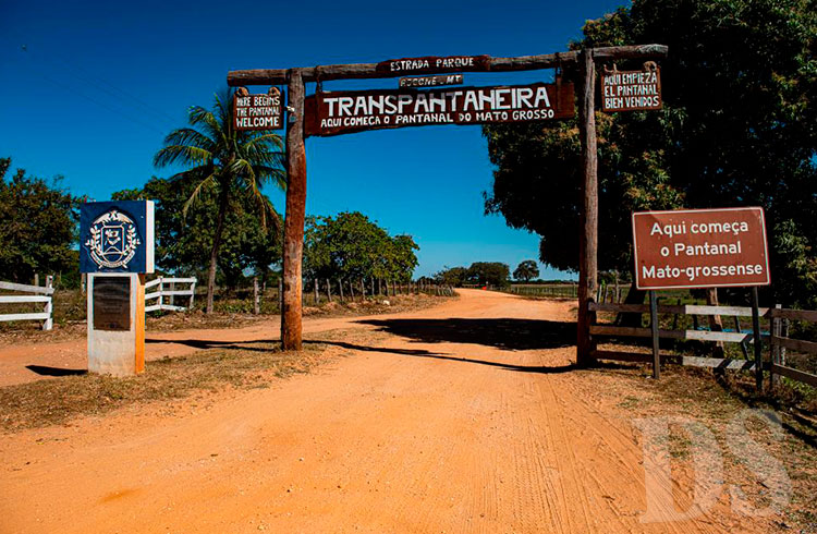 MONITORAMENTO – Redução de 90,8% nos focos de calor no Pantanal