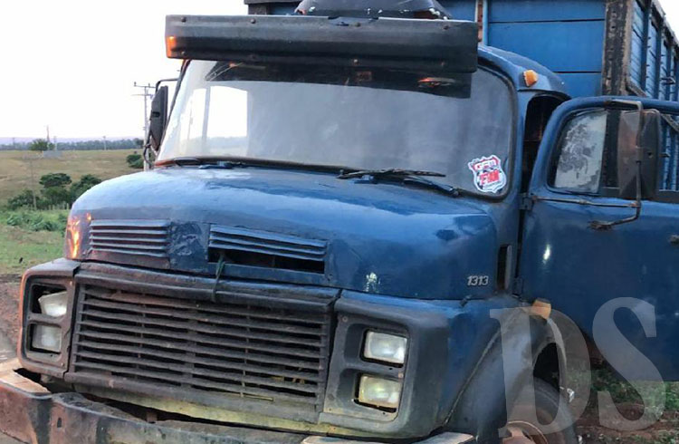 TANGARÁ DA SERRA - Polícia Militar prende suspeito e recupera 48 cabeças de gado furtadas em fazenda