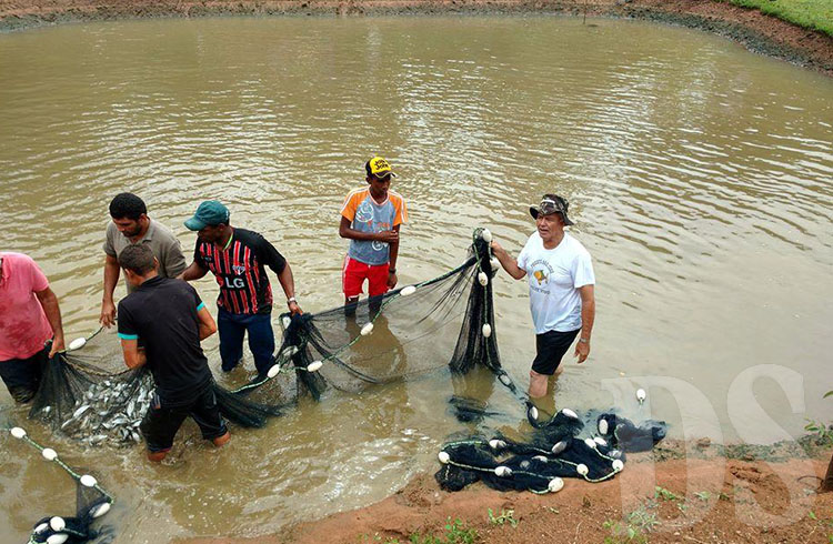 Fiscais do Indea vão percorrer 57 propriedades de MT em ações de vigilância