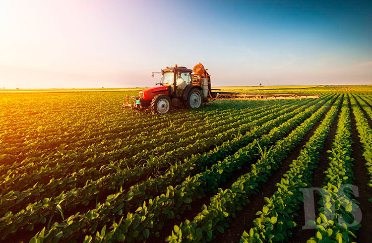 LEVANTAMENTO NACIONAL – Sorriso é o mais rico do agronegócio; Tangará da Serra é o 74º