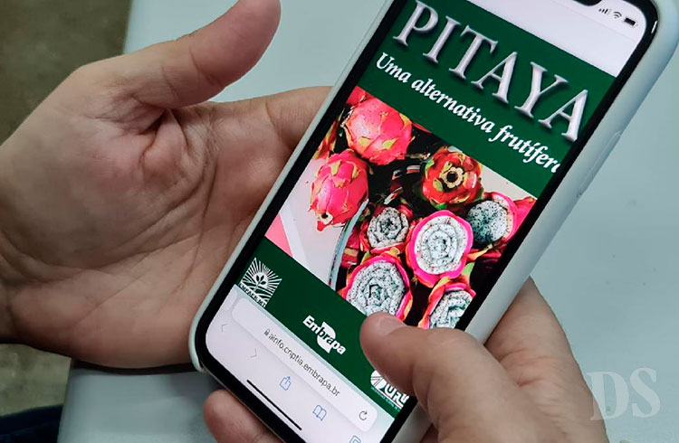 MATO GROSSO – Livro digital da Pitaya é disponibilizado a produtores