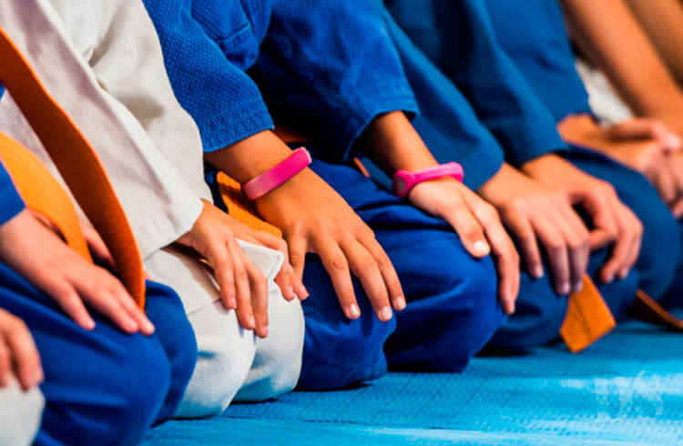 NESTE DOMINGO – Sindicato e parceiros promovem 1º Open de Artes Marciais