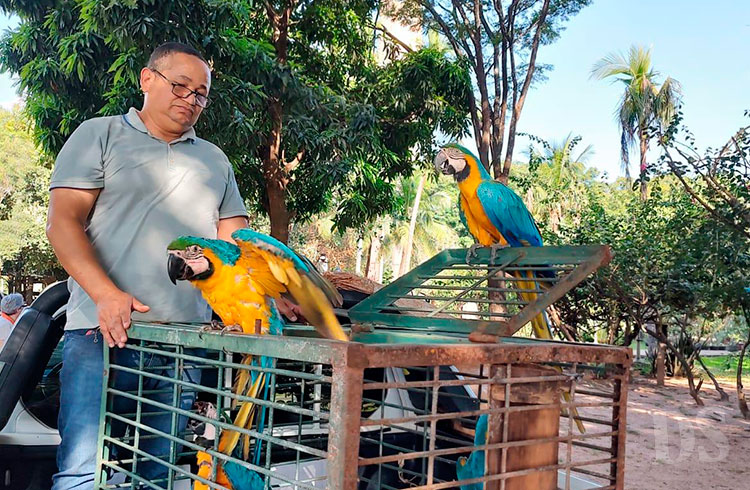 EM TANGARÁ – 12 animais são devolvidos à natureza