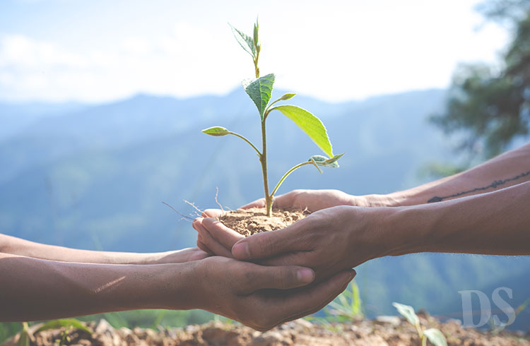 EM TANGARÁ DA SERRA – Lançamento de projetos e atividades educacionais marcam Semana do Meio Ambiente