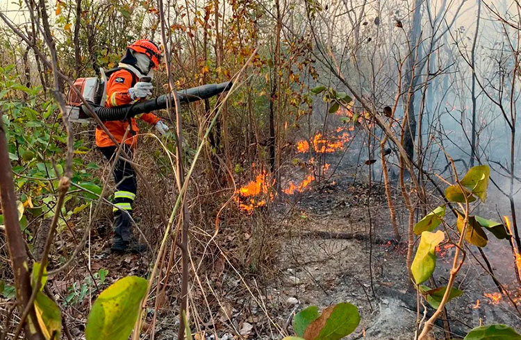 CUIABÁ – Incêndio consome vegetação na ‘Estrada do Manso’