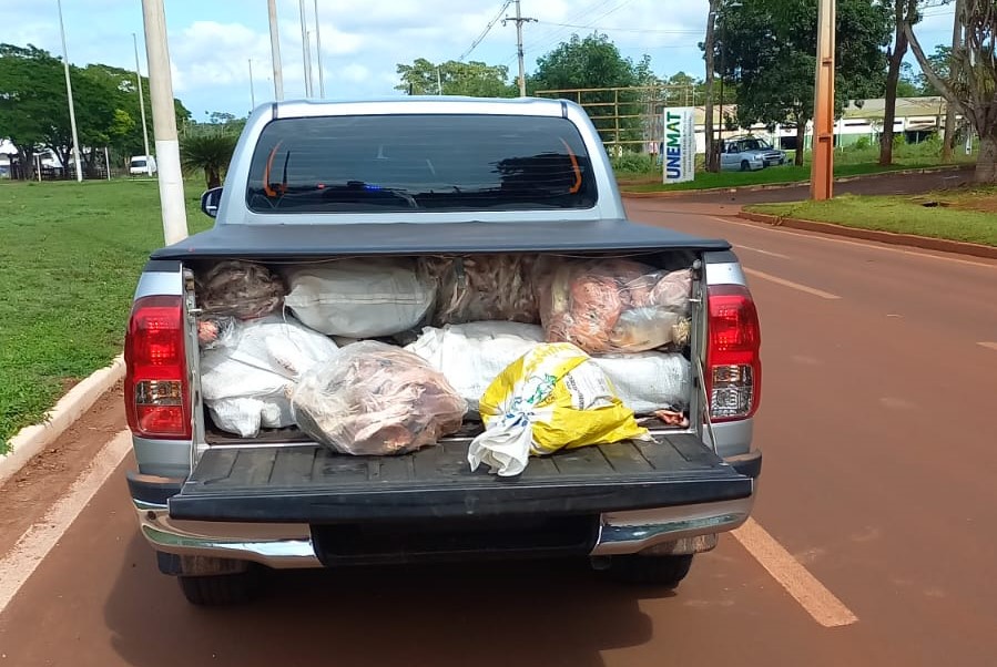 CRIME AMBIENTAL - Polícia Militar apreende mais de 700 quilos de pescado irregular em Tangará