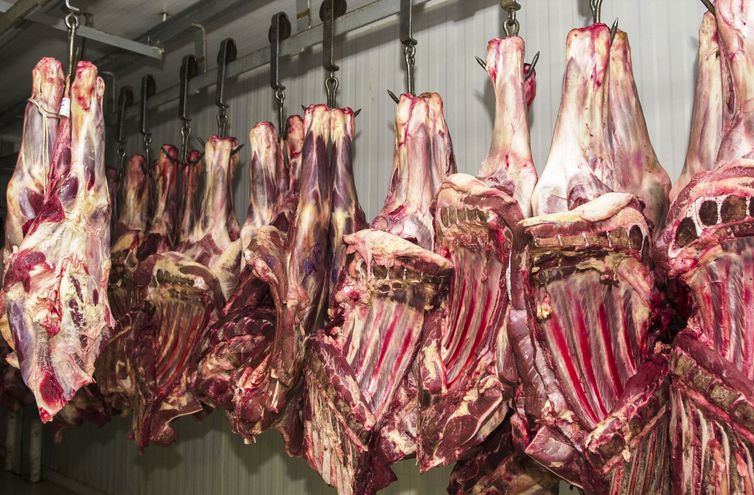 Marfrig recebe novas habilitações para exportar carne bovina