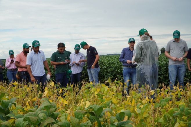 CUIABÁ – Evento técnico norteia o setor para a próxima safra de soja