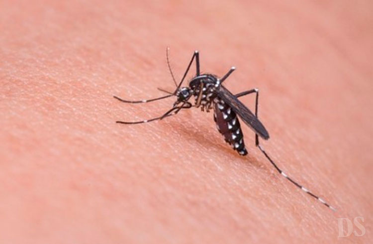 AÇÕES PREVENTIVAS – Vigilância em Saúde Ambiental realiza campanha contra dengue em escolas