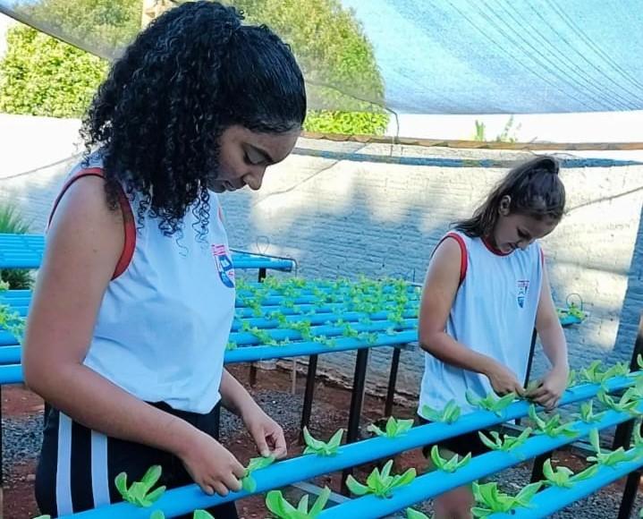 Escola Tiradentes de Diamantino desenvolve horta hidropônica para promover inclusão e sustentabilidade
