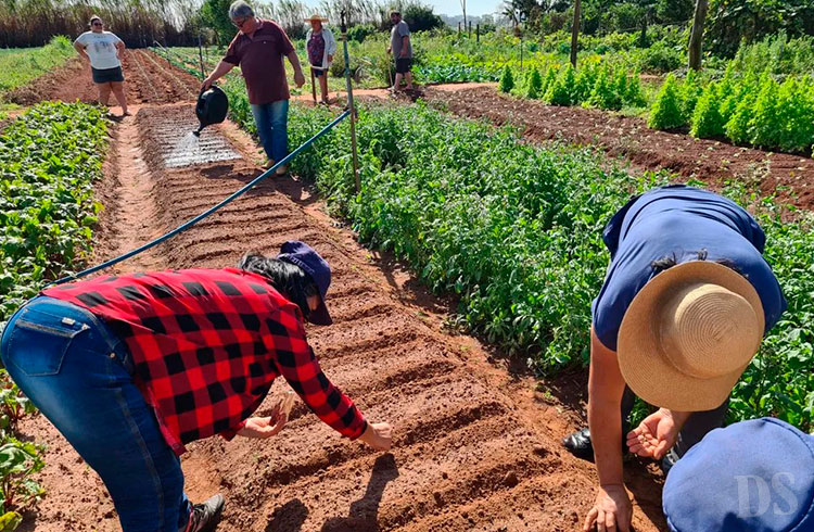 OPORTUNIDADE – Chamada Pública para produtos da Agricultura Familiar acontece no próximo dia 25