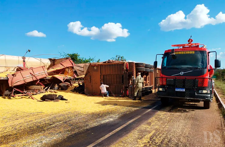 BR-158 – Mais de 20 bois morrem após carreta tombar