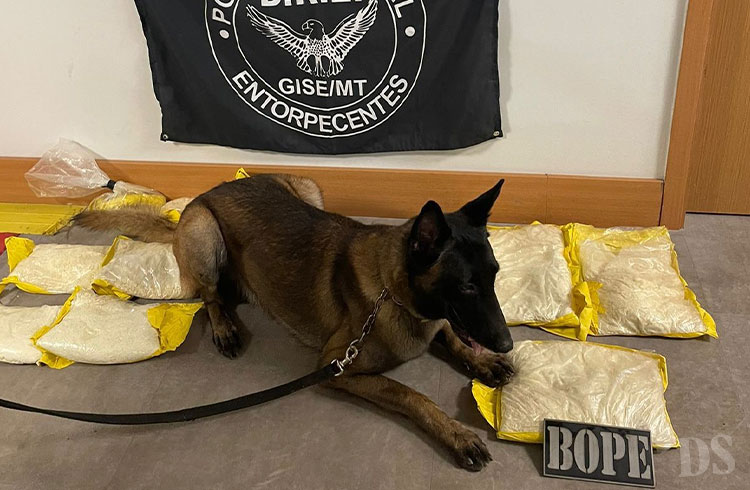 Aeroporto Marechal Rondon – Cão do Bope encontra mais de 10 quilos de pasta base enrolados em passageiros