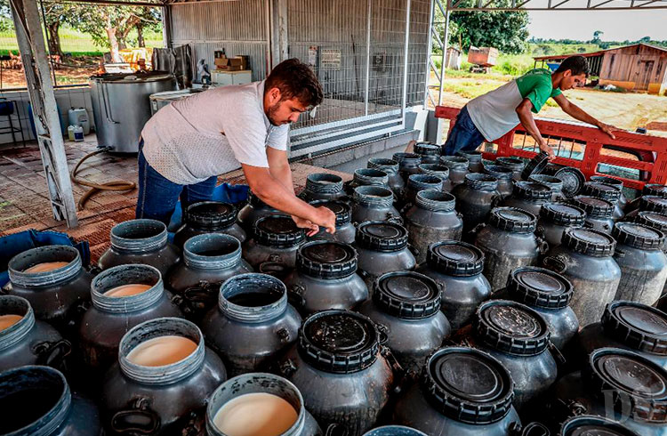 DESENVOLVIMENTO RURAL – Governo de MT sanciona duas leis para fortalecer a agricultura familiar no Estado