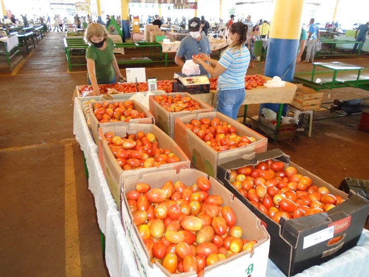 Feira do Centro oferece a qualidade do tomate produzido na agricultura familiar