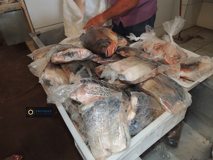SEMANA SANTA – Feira abre quinta e sexta para venda de pescado