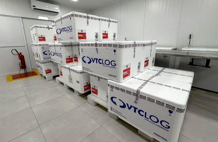 IMUNIZAÇÃO – Vacina contra a dengue será liberada a Tangará da Serra e outros 34 municípios de MT nesta quinta