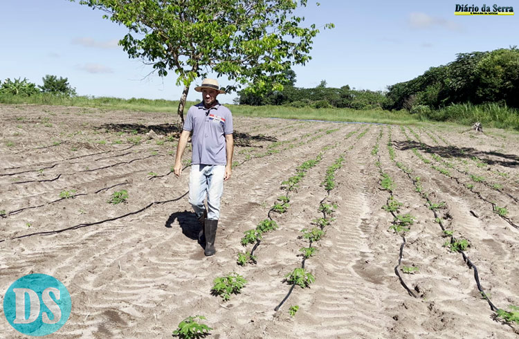 AGRICULTURA FAMILIAR – “Agora a gente vai conseguir produzir o ano todo”