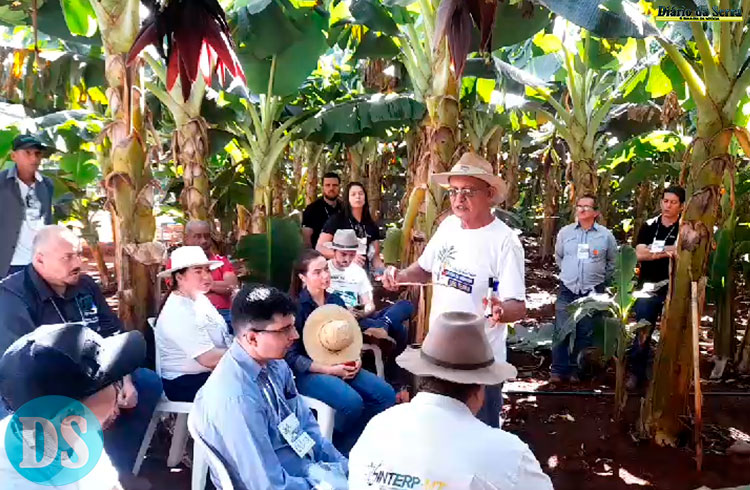 Dia de Campo ‘Cultivo da Banana Tipo Terra’ contou com cerca de 200 participantes