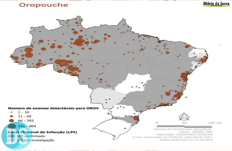 Mato Grosso tem 17 casos notificados de febre do Oropouche