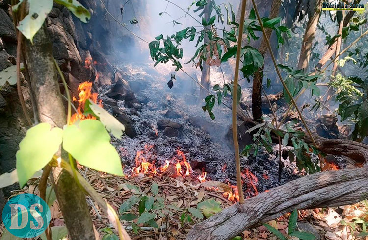 PECUAMA E ANTÔNIO CONSELHEIRO – Equipes do Corpo de Bombeiros de Tangará seguem trabalhando em combate a incêndios