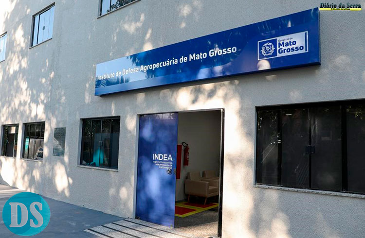Indea confirma caso de raiva bovina em Porto Estrela