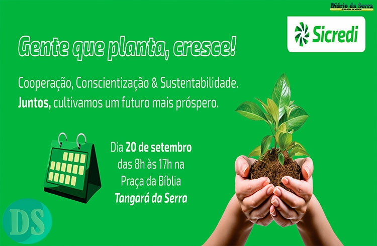 Sicredi celebra o Dia da Árvore com distribuição de mudas em Tangará da Serra