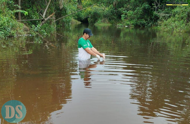 BALNEABILIDADE 2024 - Sema analisa qualidade da água em cinco rios do Alto Paraguai; quatro estão impróprias para banho