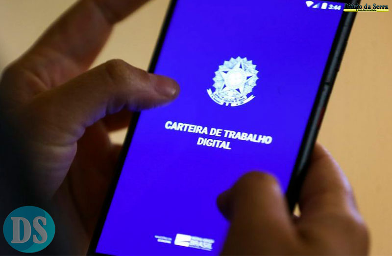 MERCADO EM 2024 – Micro e pequenas empresas geraram 81% dos empregos em MT, diz pesquisa
