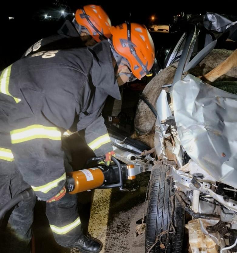 EM BRASNORTE - Bombeiros retiram corpos de homem e cavalo presos às ferragens após acidente na MT-170