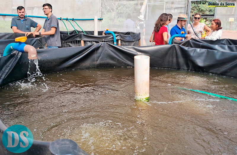 CICLO VIVO - Projeto de tecnologia sustentável transforma vidas em comunidade terapêutica de Tangará