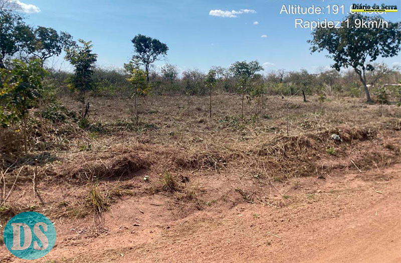 TANGARÁ DA SERRA – Polícia Militar prende cinco pessoas por desmatamento ilegal em área de reserva ambiental