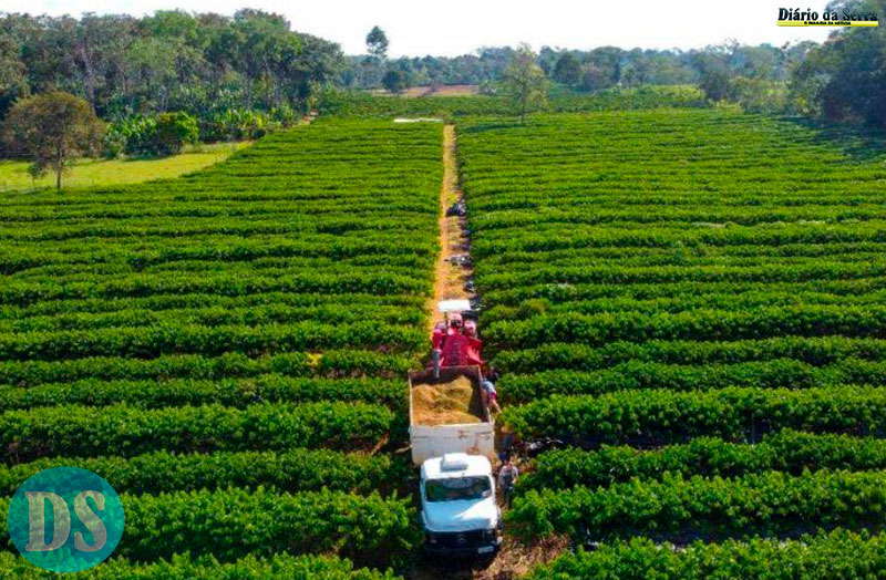 EMPREENDEDORISMO – Governo de Mato Grosso isenta taxa de inscrição estadual para produtores rurais