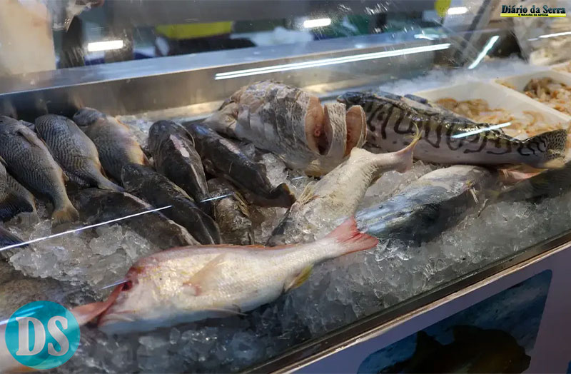 DEFESO DA PIRACEMA - Pescadores profissionais e estabelecimentos comerciais devem declarar estoque pesqueiro até sexta