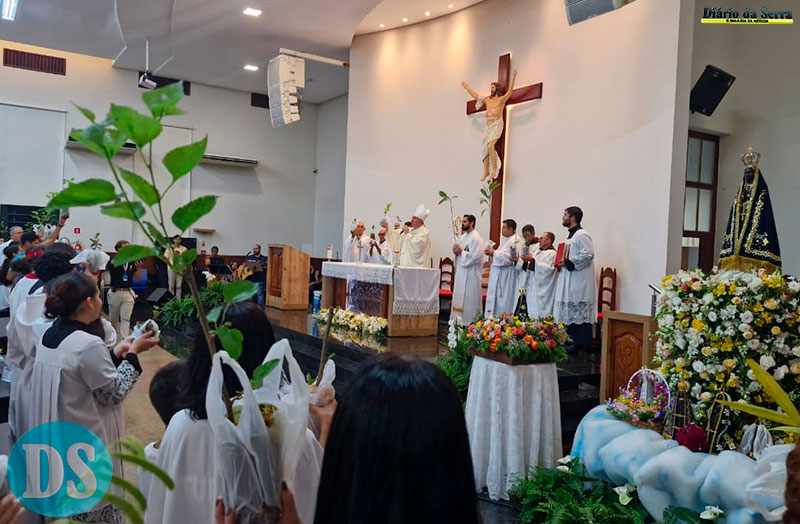 Paróquia celebra Dia da Padroeira com doação de mudas de árvores e mensagem de fé ecológica