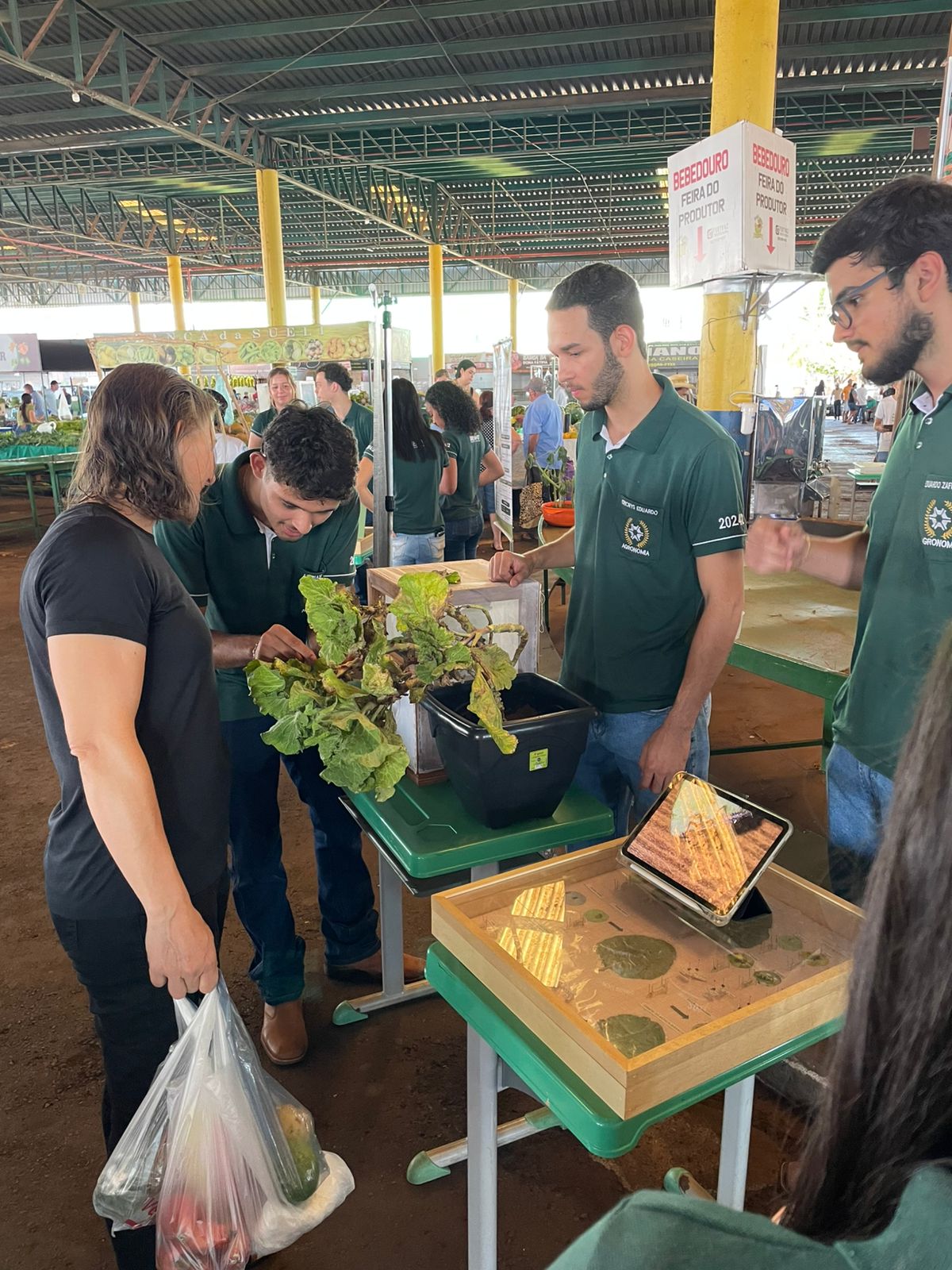 FORTALECIMENTO - “Insetos na Feira” conecta universidade e produtores rurais em Tangará da Serra