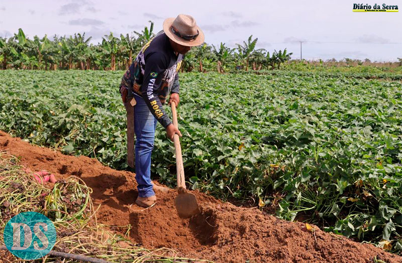 MAIS PRODUÇÃO – Máquinas entregues pelo Governo facilitam o trabalho da agricultura familiar