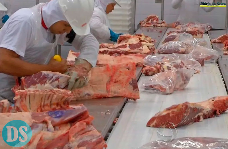 Doze municípios de MT estão entre os 100 que mais exportaram no Brasil em 2025