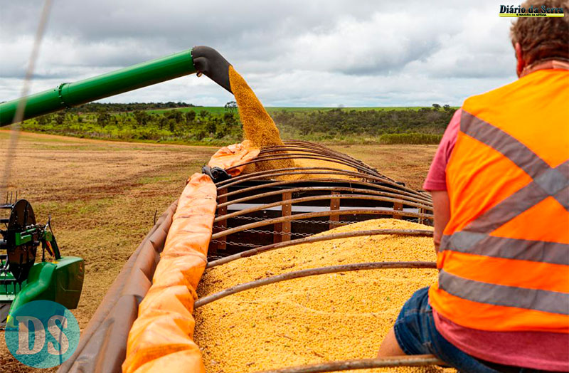 MERCADO INTERNACIONAL – Mato Grosso fecha 2025 como o 4º maior exportador brasileiro