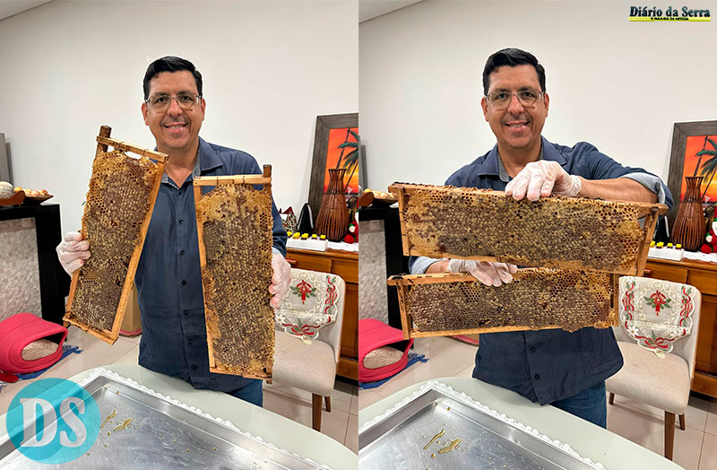 CULTIVO E RESGATE – Resgate de abelhas contribui para preservação ambiental em Tangará