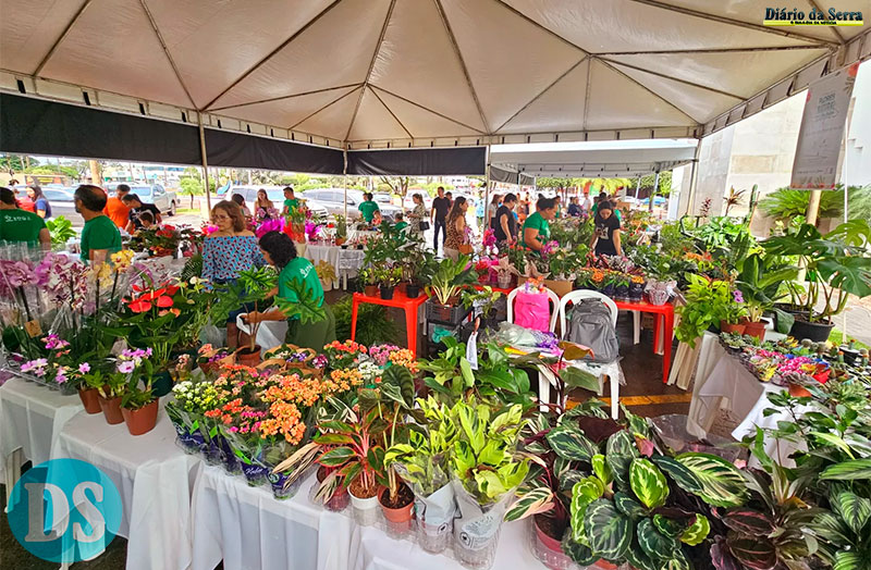PROGRAMAÇÃO DE ANIVERSÁRIO – Feira de Flores em Tangará da Serra reúne produtores atendidos pelo Senar MT na véspera do Dia das Mães