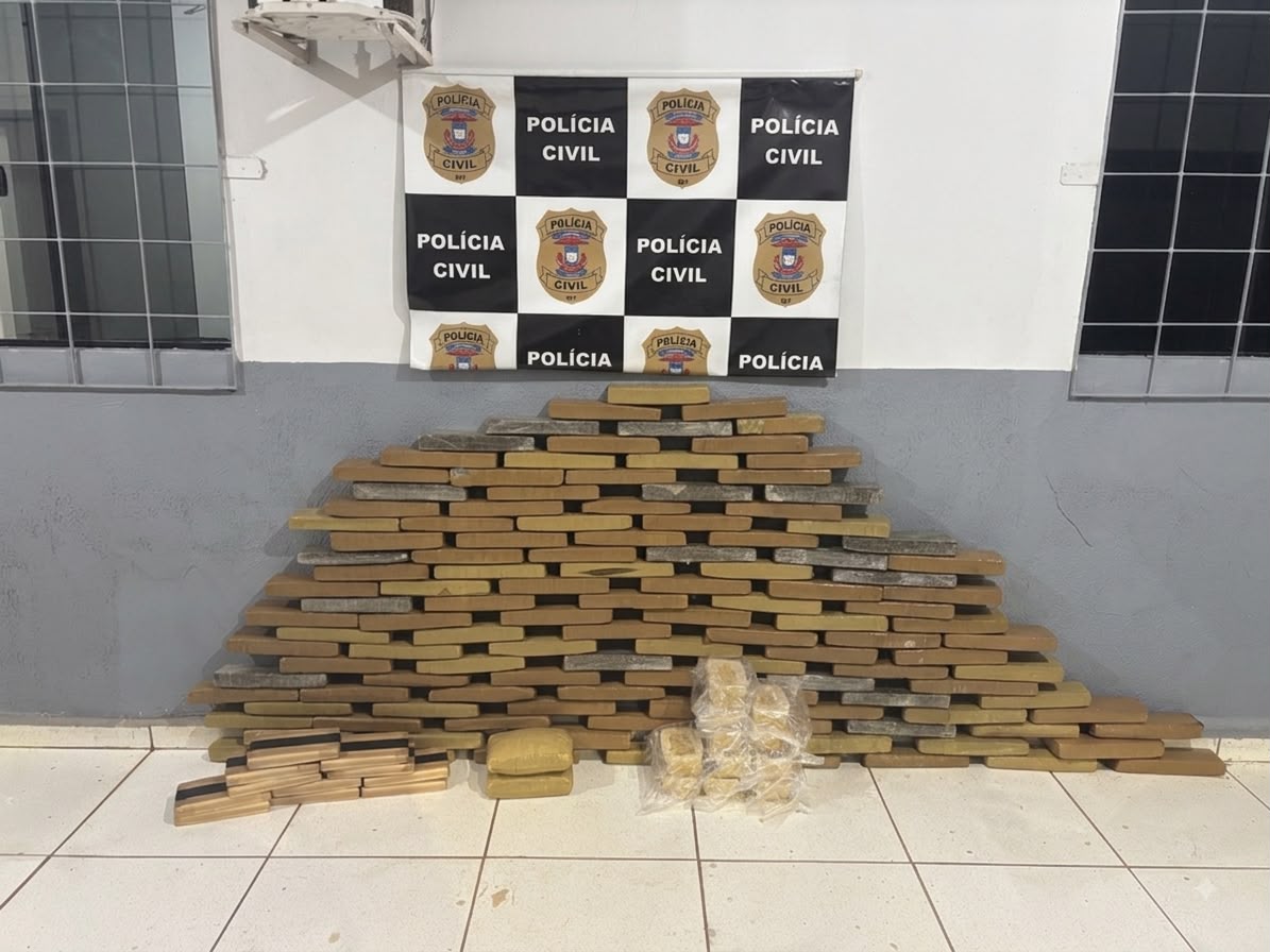Polícia Civil apreende cerca de 150kg de entorpecentes na estrada entre Nova Olímpia e Tangará da Serra