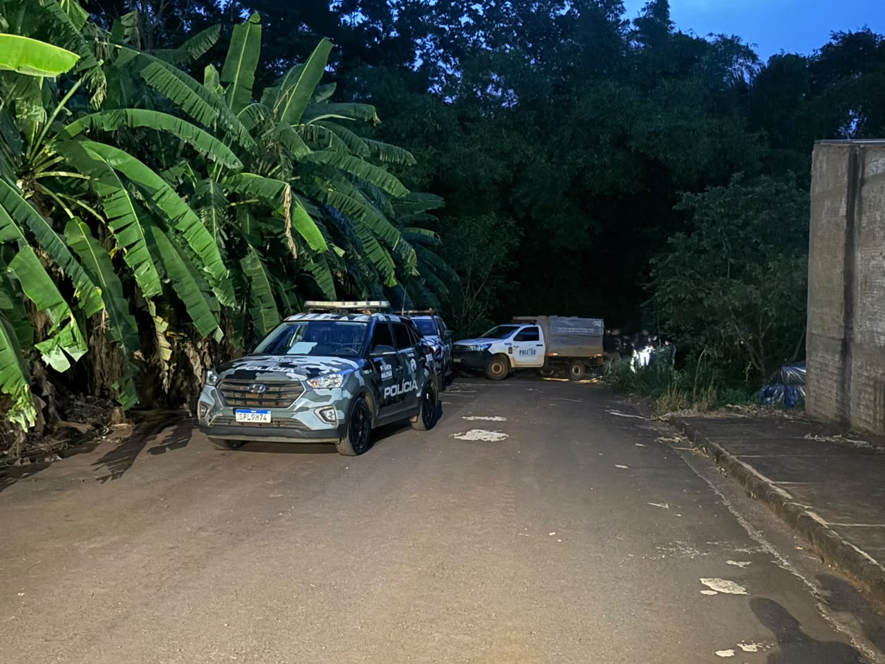 Dois suspeitos morrem após confronto com a Força Tática em região de mata em Tangará da Serra
