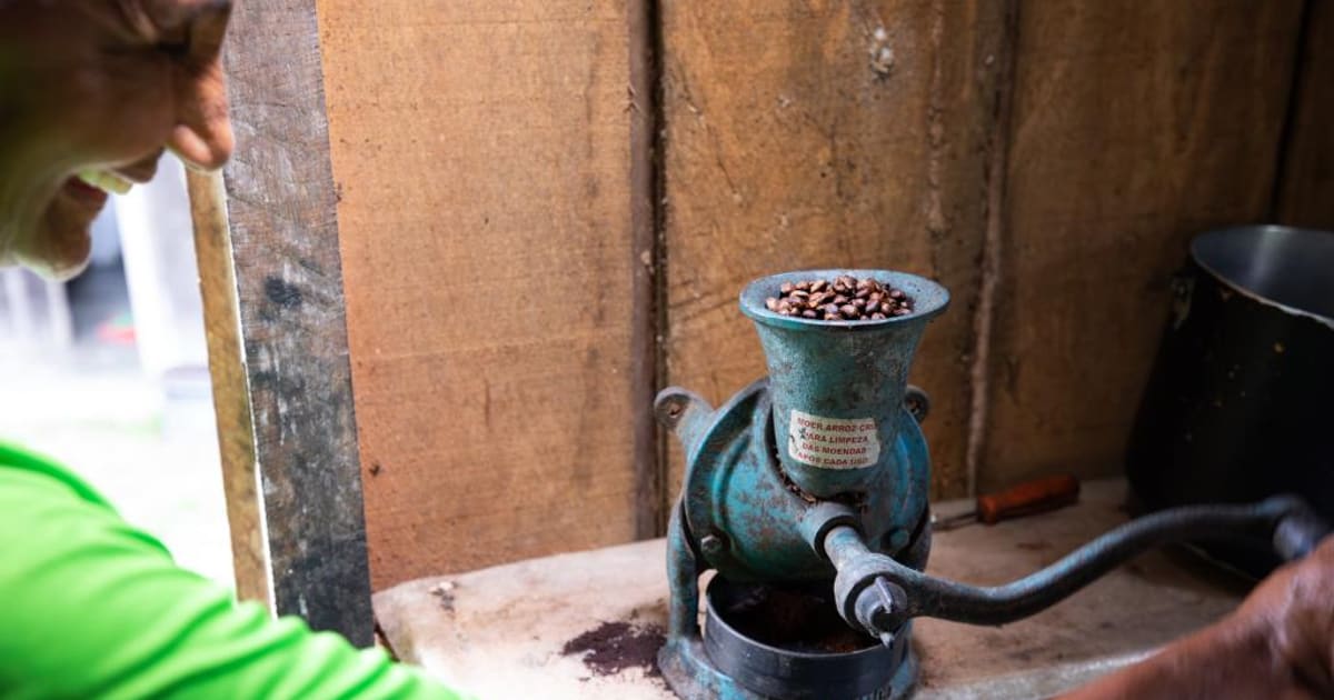 Aroma, sabor e valorização: Seaf e Sebrae promovem 1º Concurso de Qualidade do Café de Mato Grosso em Juína
