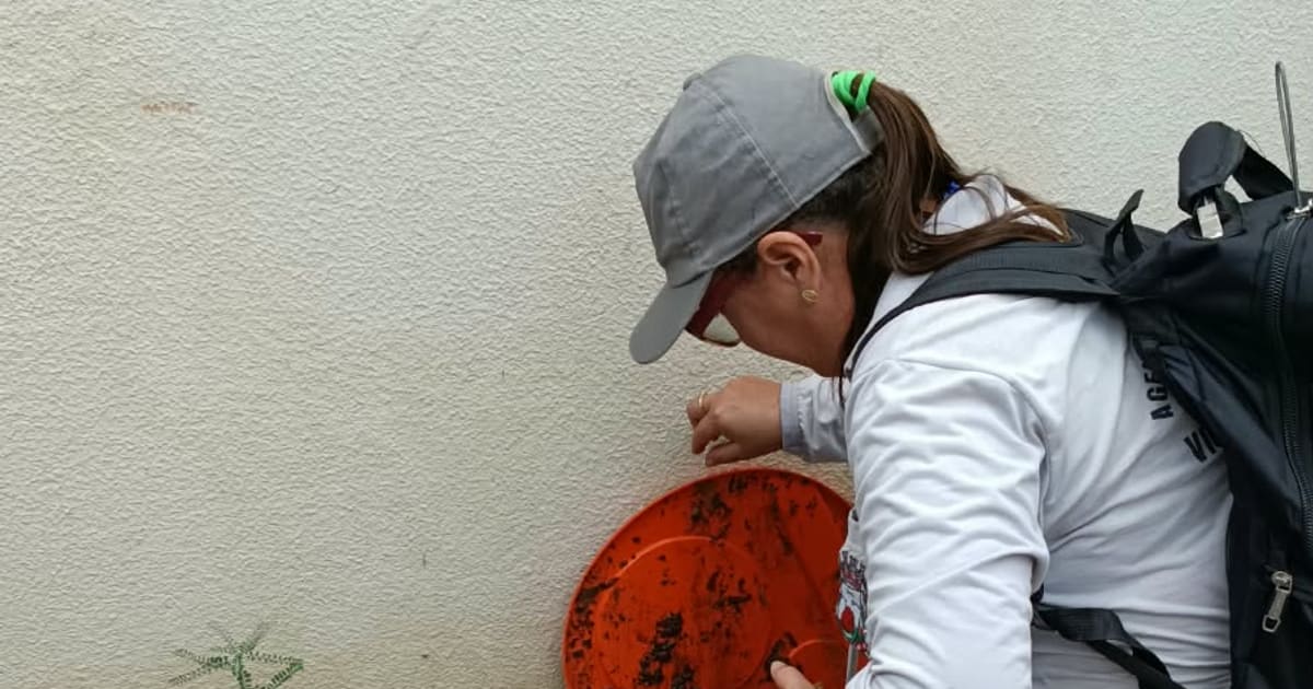 Tangará da Serra reduz áreas críticas de infestação de mosquito em MT